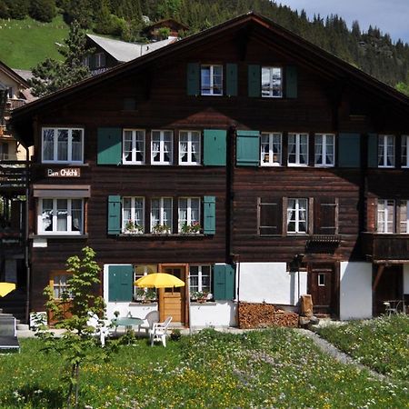 Studio Bim Chalet Bim Chilchli Murren Ngoại thất bức ảnh